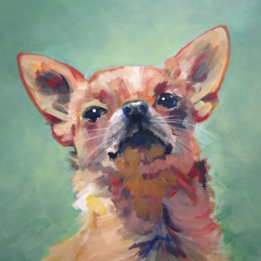 Bandon Animal Rescue